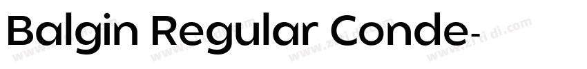 Balgin Regular Conde字体转换